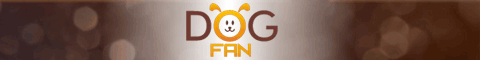 интернет магазин Dog Fan